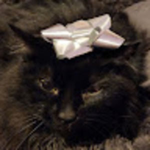 Meet your Posher, Aracely